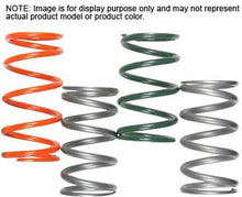 Load image into Gallery viewer, Primary Spring Pol
