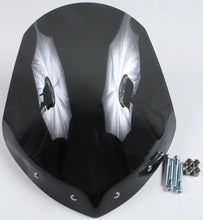 Load image into Gallery viewer, Gladiator Windshield W/black Mounts (light Tint)
