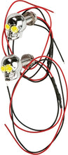 Load image into Gallery viewer, Lighted Skull Lic Plate Screw White
